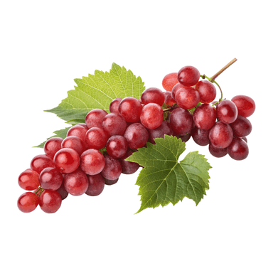 Fruits raisin