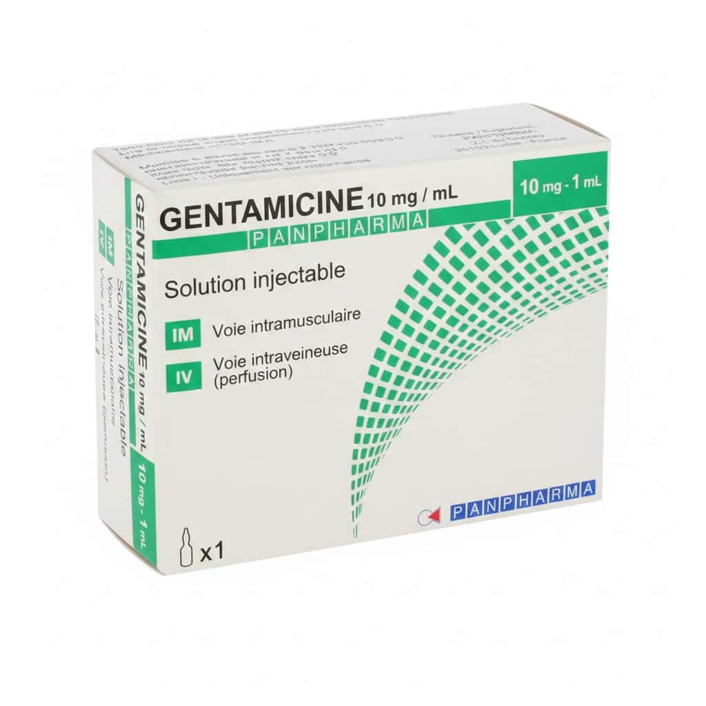 GENTAMICINE PA INL 10MG BT10