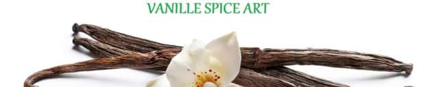 VANILLE SPICE ART