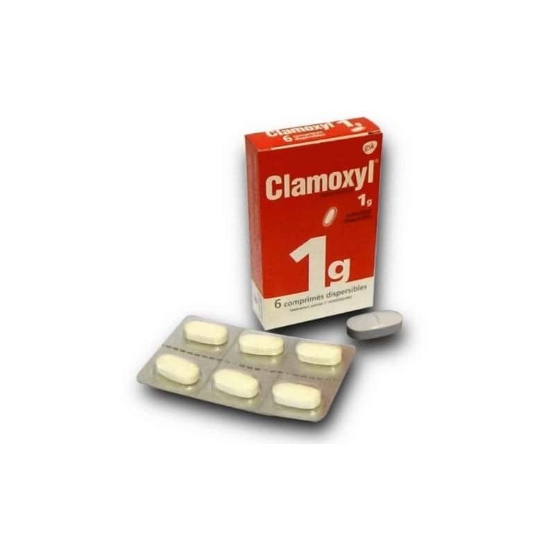 Clamoxyl Comprimés 1g