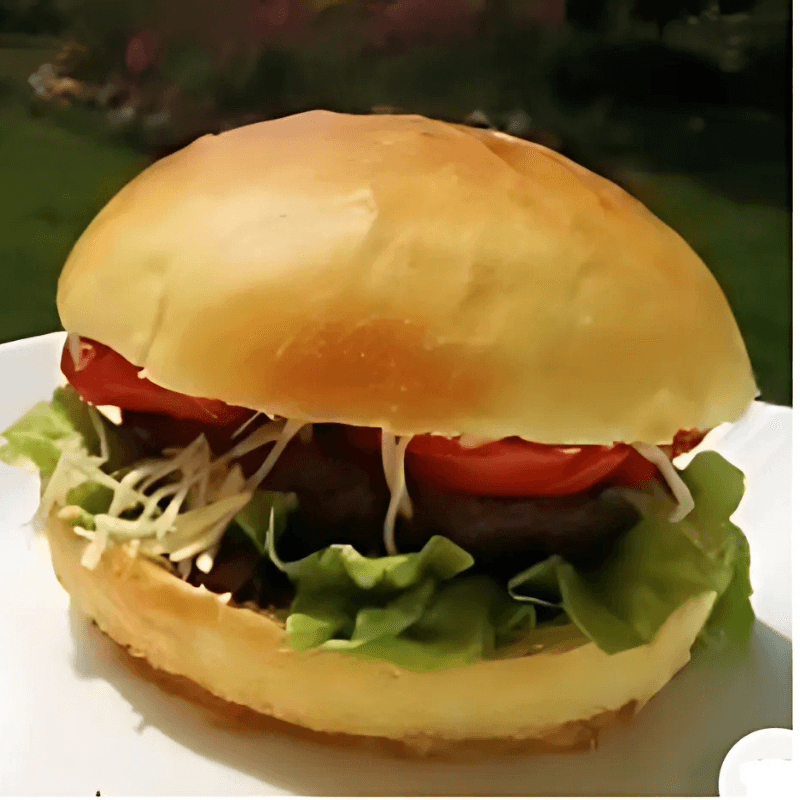 HAMBURGER