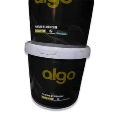 PEINTURE ALGO 20Kg interieurs et exterieurs