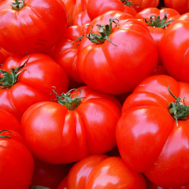 Tomates en 5Kg