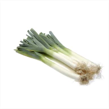Poireau - Lot de 3 pces