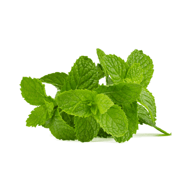 Menthe 8 bottes
