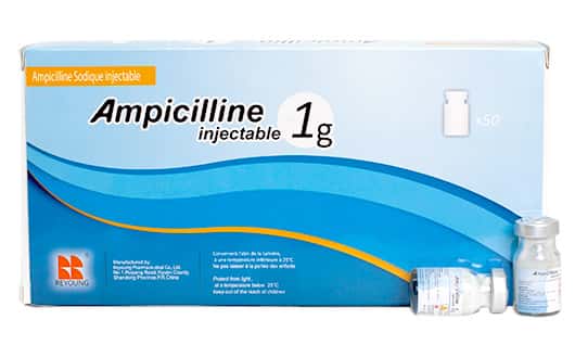 AMPICILLINE 1G INJ CH A350
