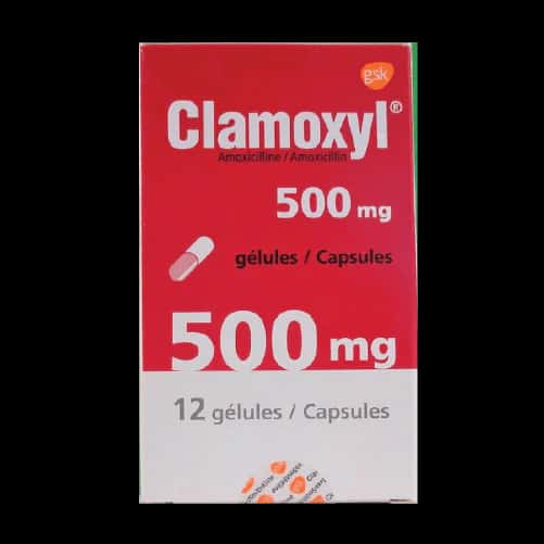 CLAMOXYL 500MG GELULE BT 12