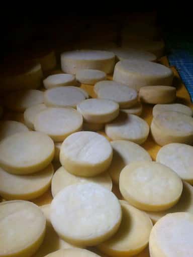 Fromage gouda Local