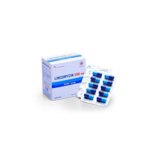 LINCOMYCINE CREAT 500MG GEL B/12