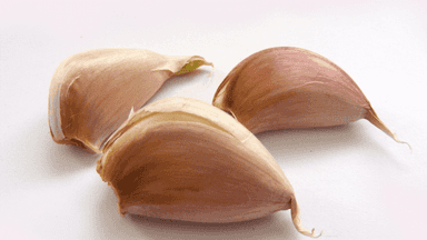Ails bio