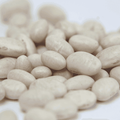 Haricot blanc sec