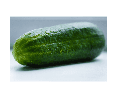 Concombre 1KG