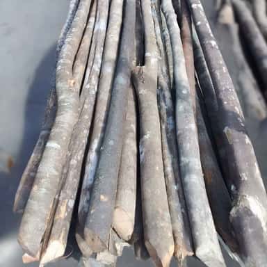 Bois rond Taiza ( lot de 10 )