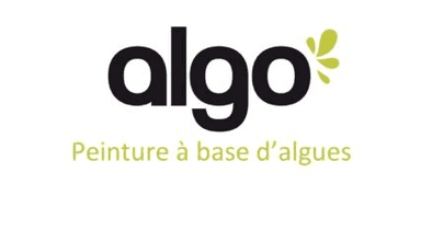 PEINTURE ALGO