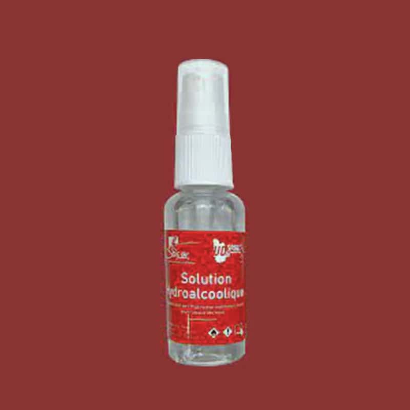 Solution HYDRO-ALC CITRON SPRAY FL/50ML