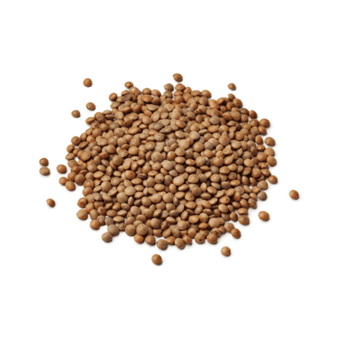 Lentilles 1kg