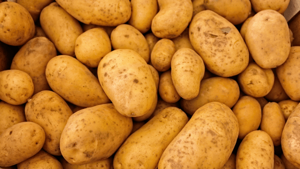 pomme de terre bio courses en ligne