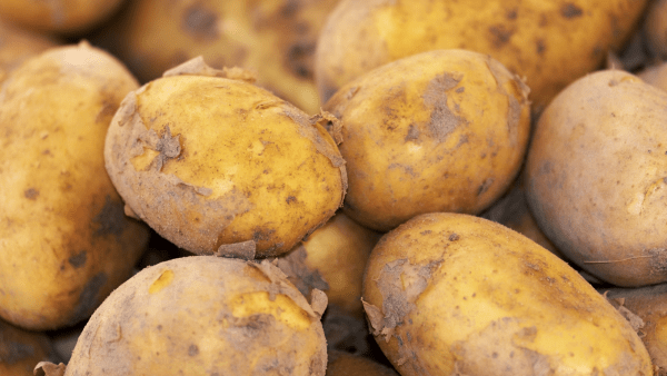 Pomme de terre courses en ligne