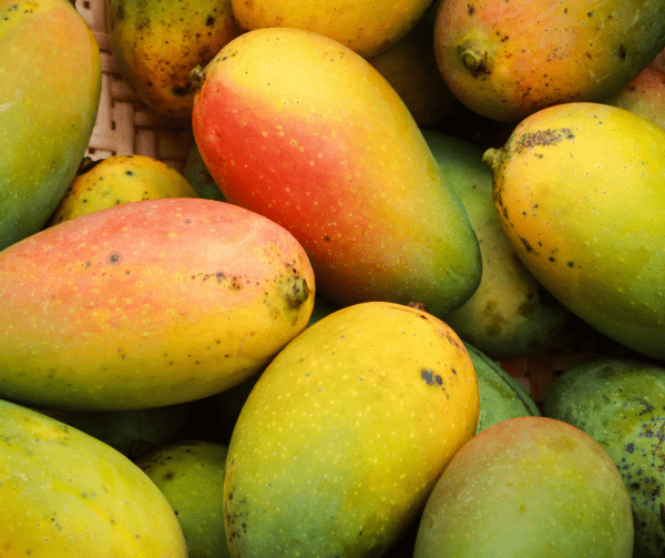 Mangue mûre courses en ligne