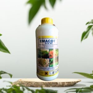 EMACOT 019 EC