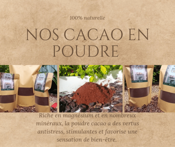 Poudre cacao 100% naturelle