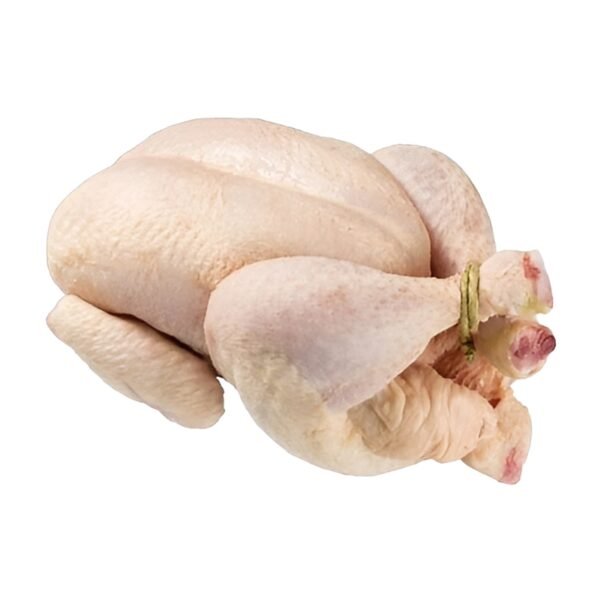 Poulet de chair