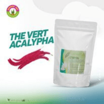 THE ACAPLYPHA