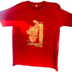 Tee-shirt Madagascar pour adulte