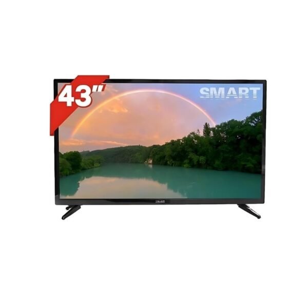 Télévision TRUST 43 Pouces