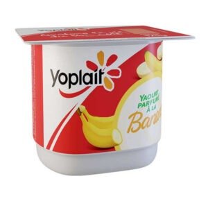 Yaourt Yoplait 125g