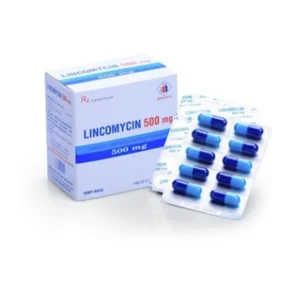 Lincomycine 500 mg - Gélule (Boîte de 10 Plaquettes de 12 Gélules)