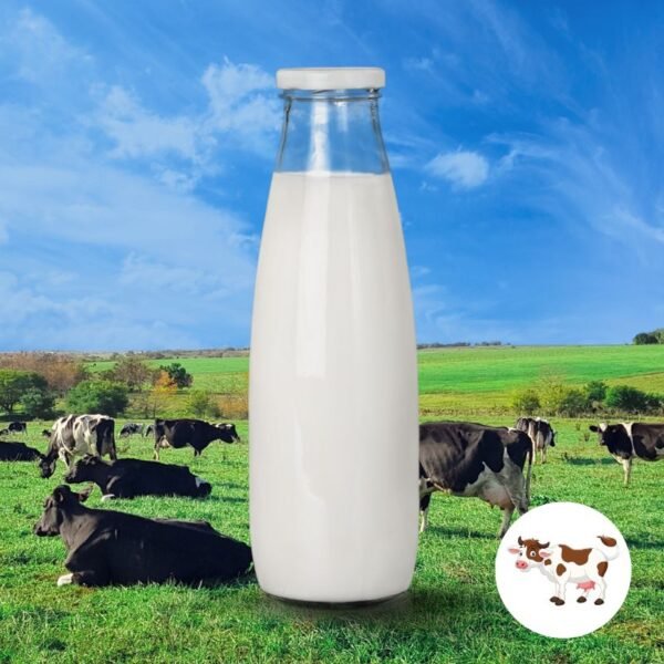 Lait cru vache