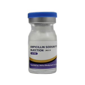 Ampicilline 1Flacon détails