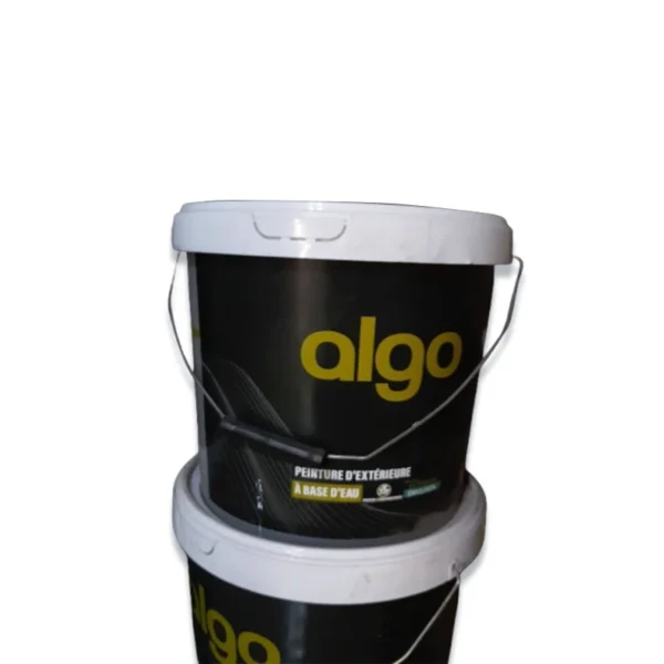Peinture algo