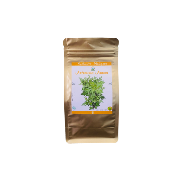 Artemisia Annua