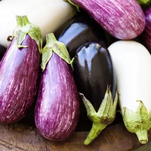 Aubergine