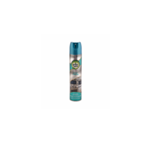 Nettoyant Four 300ml Green World