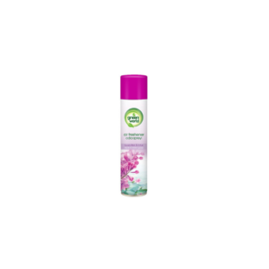 Désodorisant Absorbeur GREEN WORLD 300ML