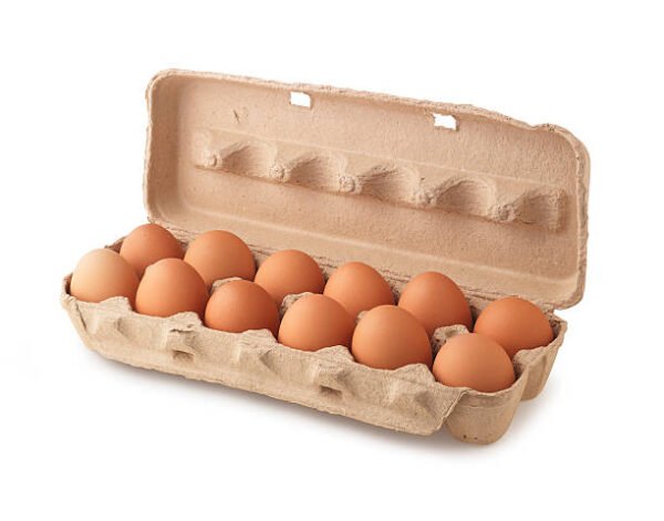 Œufs frais de poules élevées en plein air