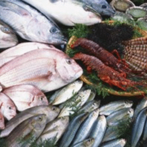 2 kg de fruits de mer congelés